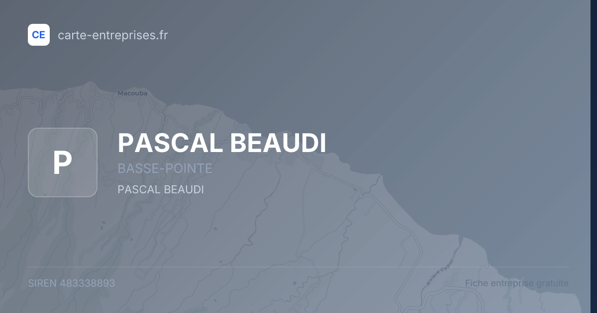 PASCAL BEAUDI — 483338893 — fiche entreprise