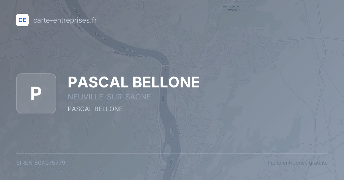 PASCAL BELLONE — 804975779 — fiche entreprise