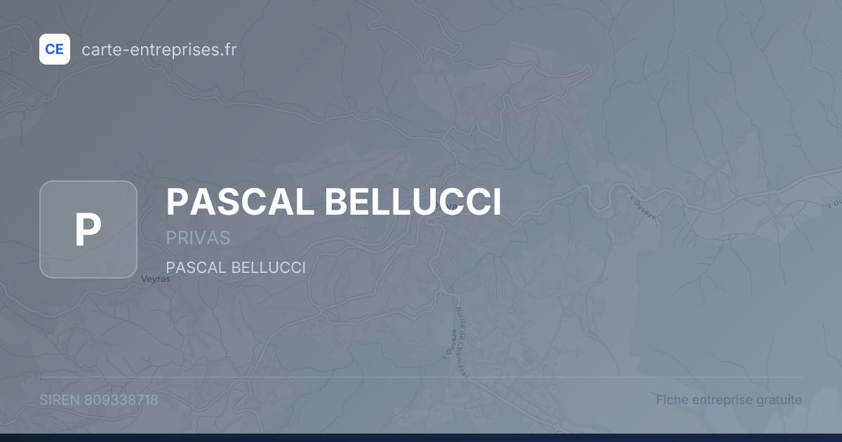PASCAL BELLUCCI — 809338718 — fiche entreprise