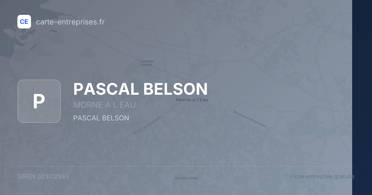 PASCAL BELSON — 303112593 — fiche entreprise