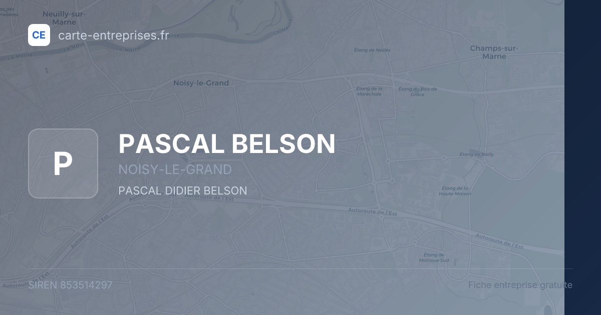 PASCAL BELSON — 853514297 — fiche entreprise