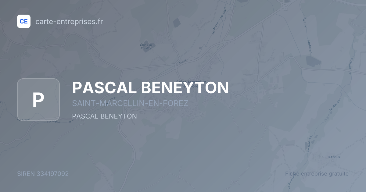 PASCAL BENEYTON — 334197092 — fiche entreprise