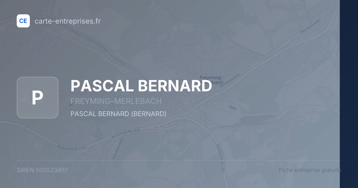 PASCAL BERNARD — 500523451 — fiche entreprise