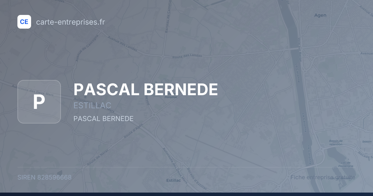 PASCAL BERNEDE — 828596668 — fiche entreprise