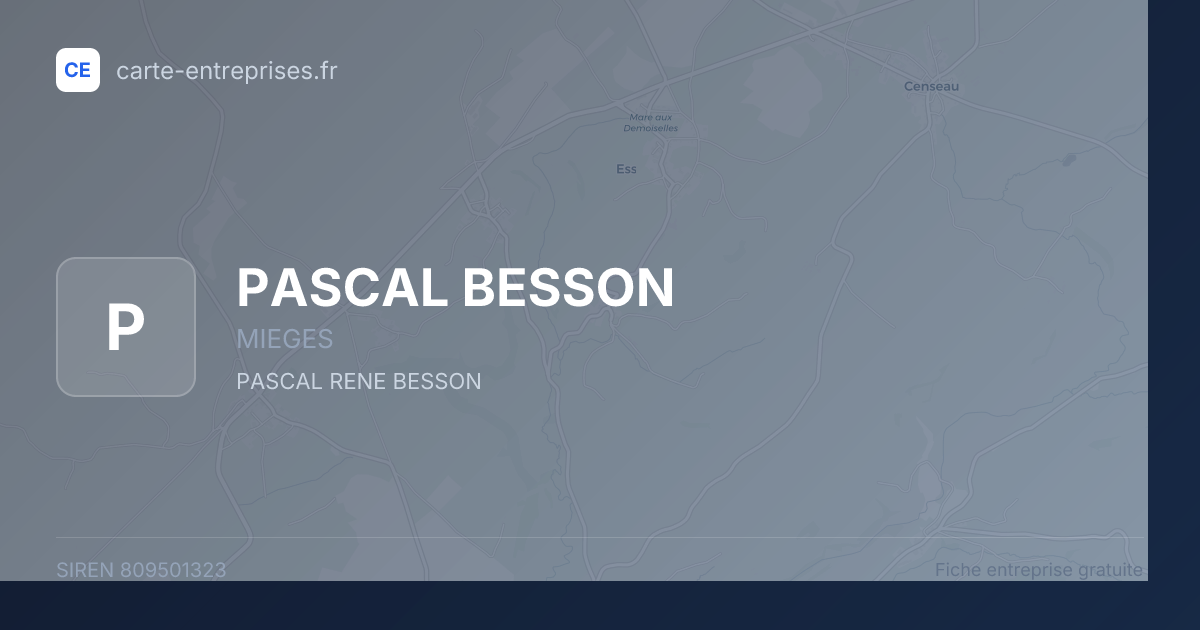 PASCAL BESSON — 809501323 — fiche entreprise