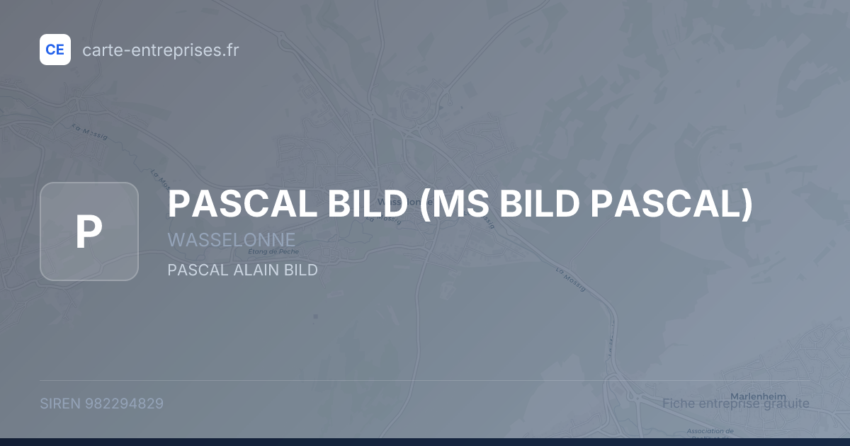 PASCAL BILD (MS BILD PASCAL) — 982294829 — fiche entreprise