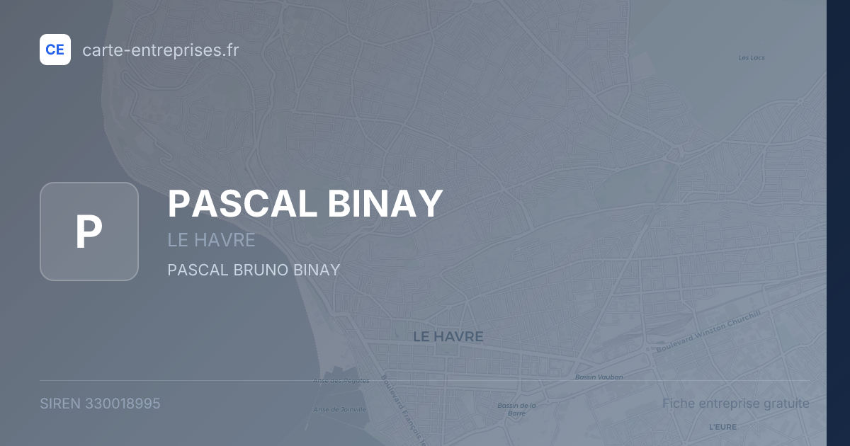 PASCAL BINAY — 330018995 — fiche entreprise
