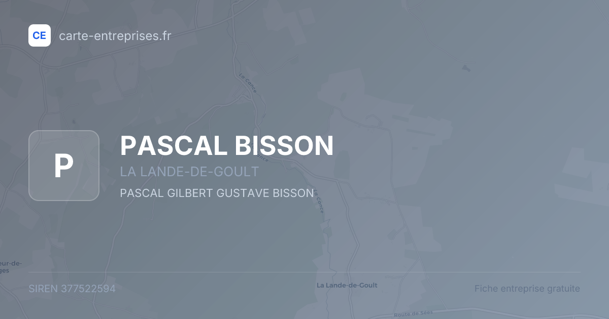 PASCAL BISSON — 377522594 — fiche entreprise