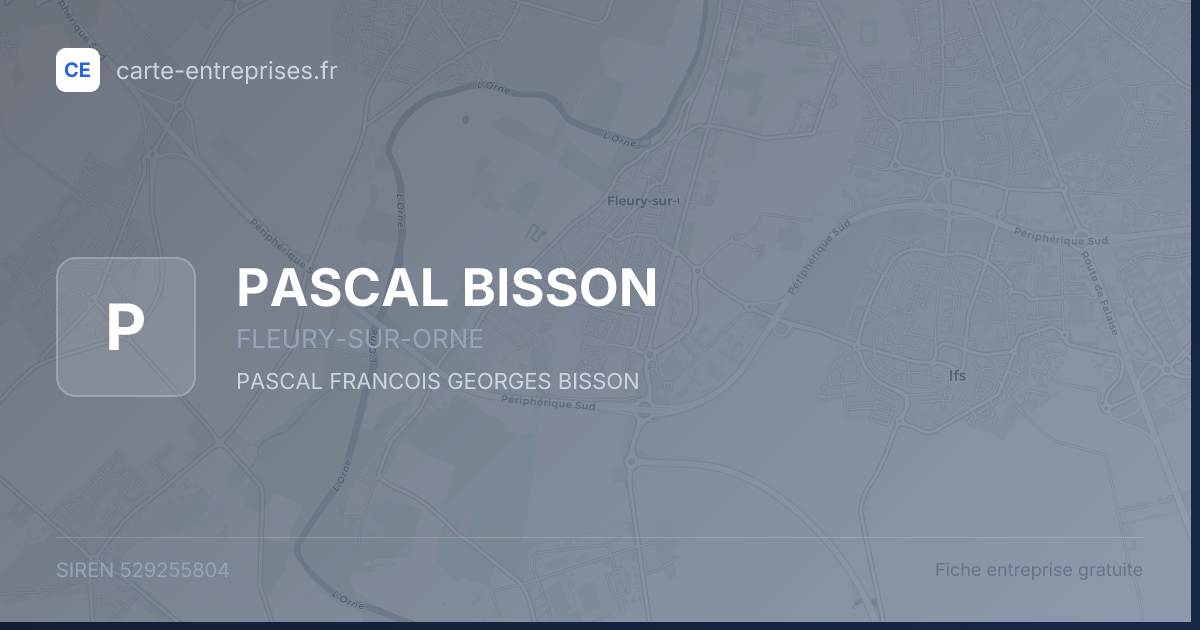 PASCAL BISSON — 529255804 — fiche entreprise