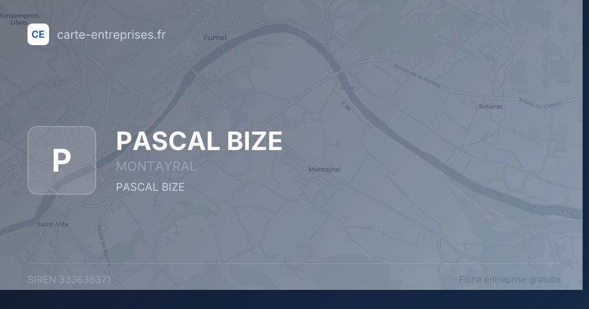 PASCAL BIZE — 333636371 — fiche entreprise