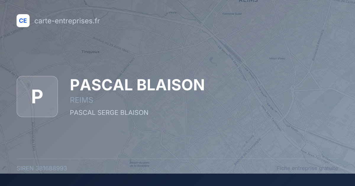 PASCAL BLAISON — 381688993 — fiche entreprise