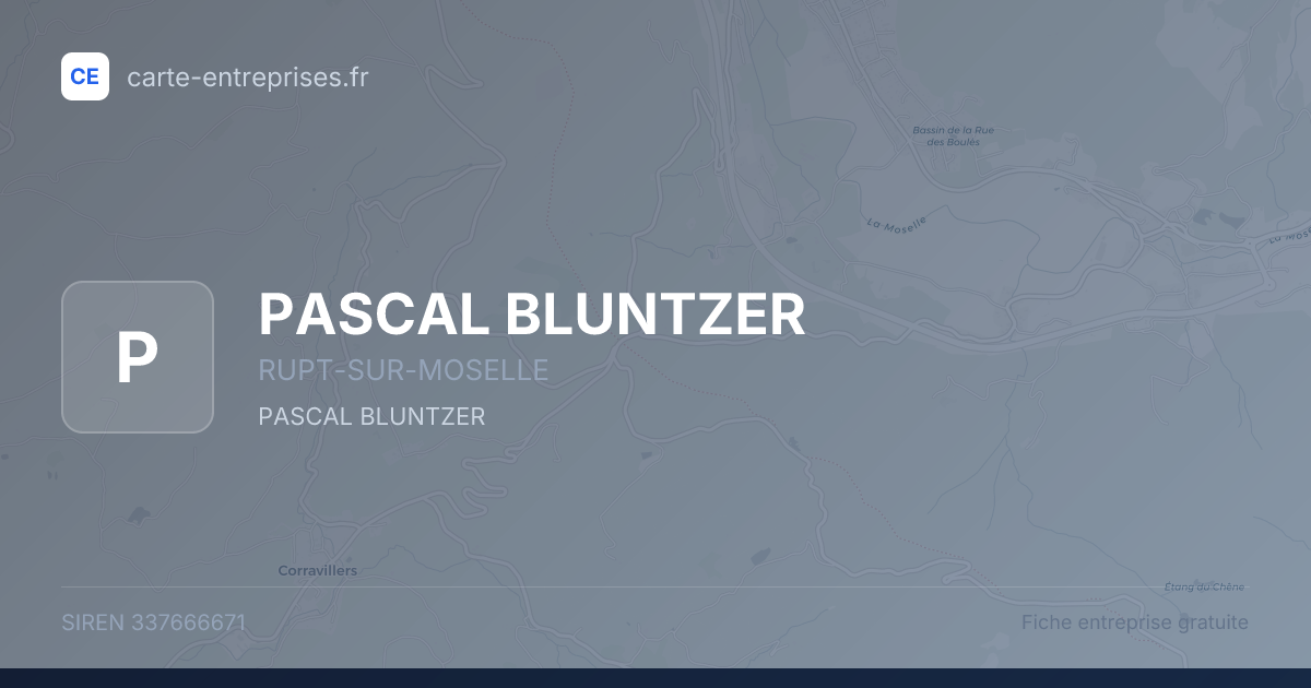 PASCAL BLUNTZER — 337666671 — fiche entreprise