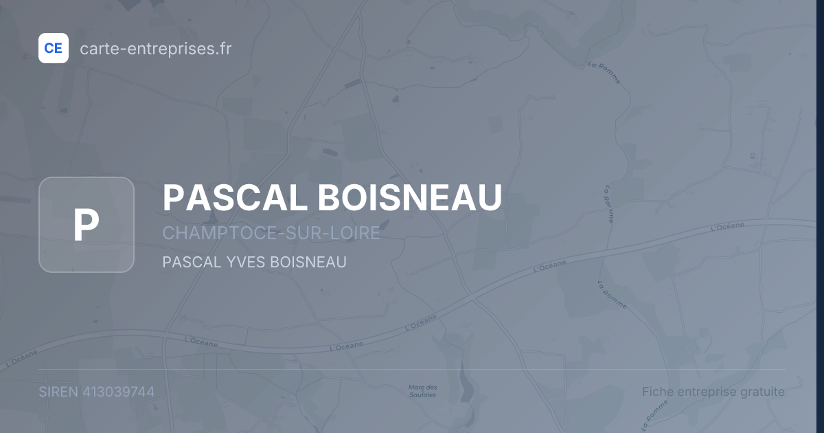 PASCAL BOISNEAU — 413039744 — fiche entreprise