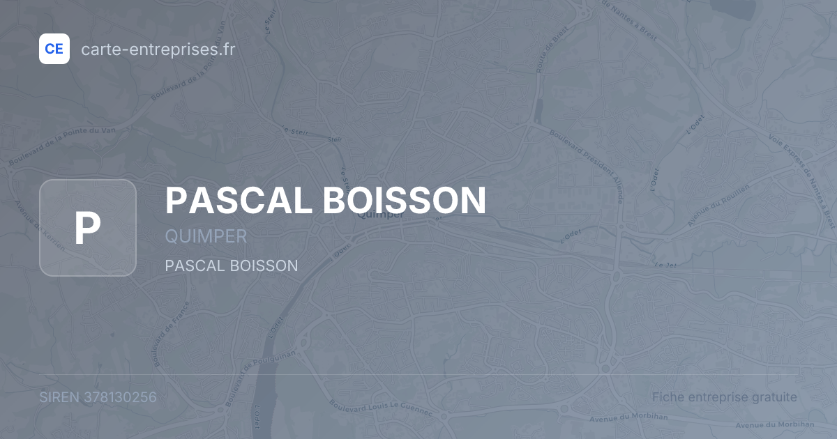 PASCAL BOISSON — 378130256 — fiche entreprise