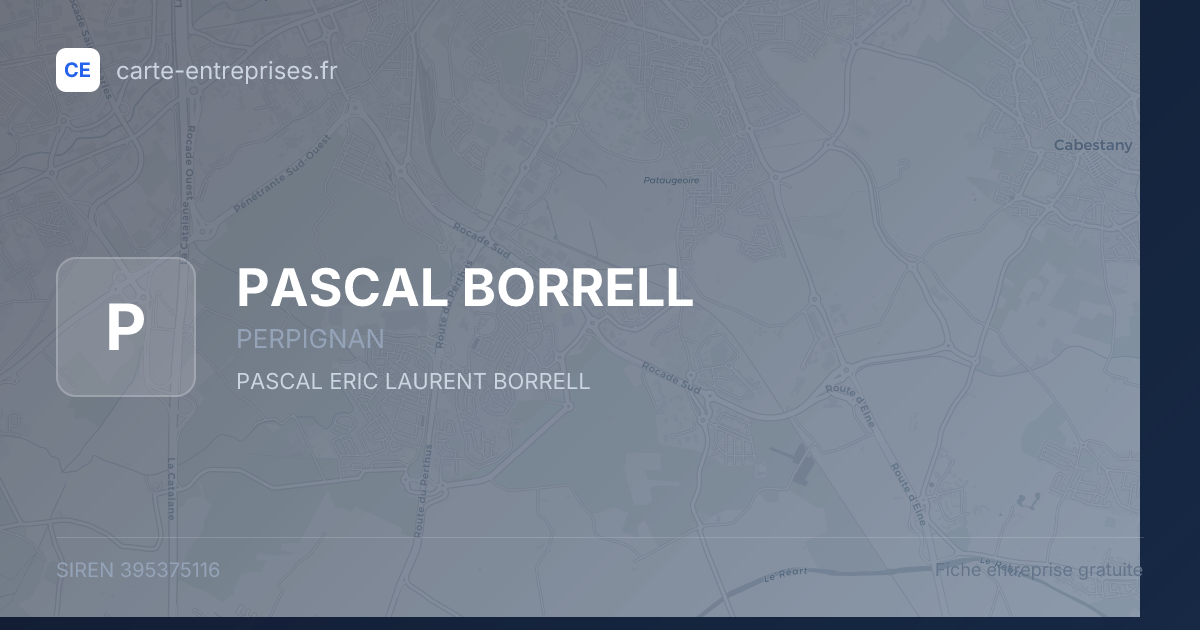 PASCAL BORRELL — 395375116 — fiche entreprise