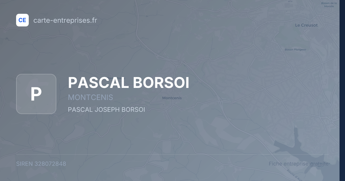 PASCAL BORSOI — 328072848 — fiche entreprise