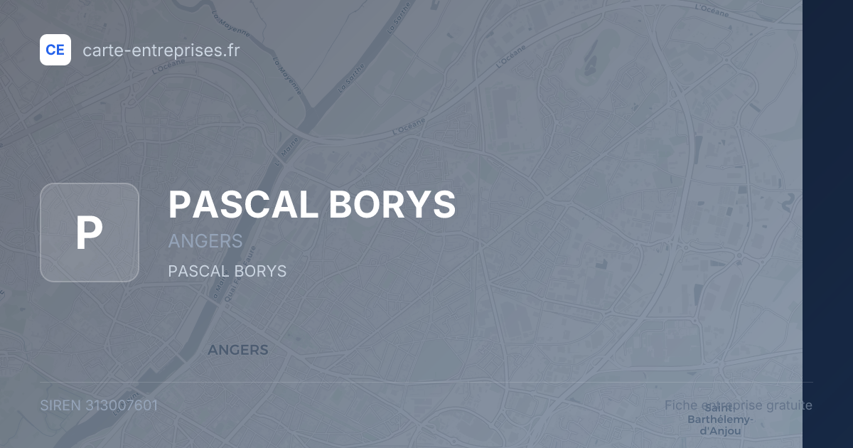 PASCAL BORYS — 313007601 — fiche entreprise