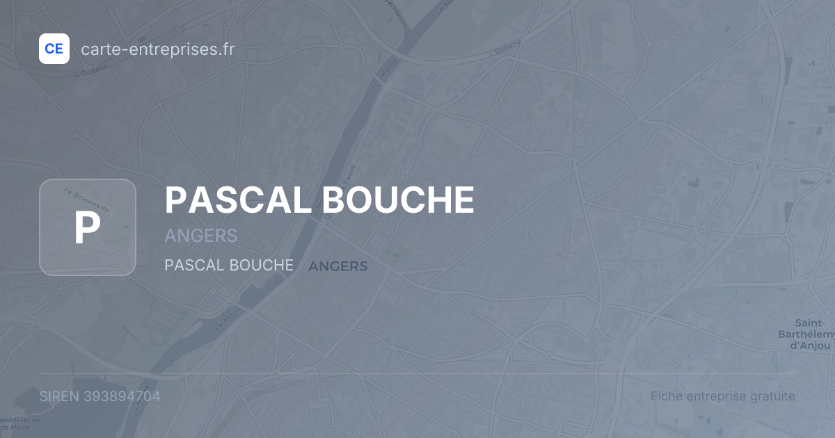PASCAL BOUCHE — 393894704 — fiche entreprise