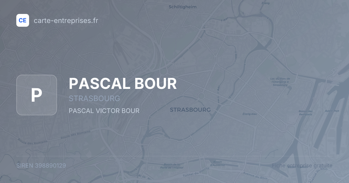 PASCAL BOUR — 398890129 — fiche entreprise