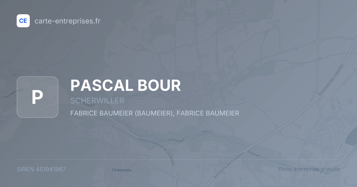 PASCAL BOUR — 451941967 — fiche entreprise