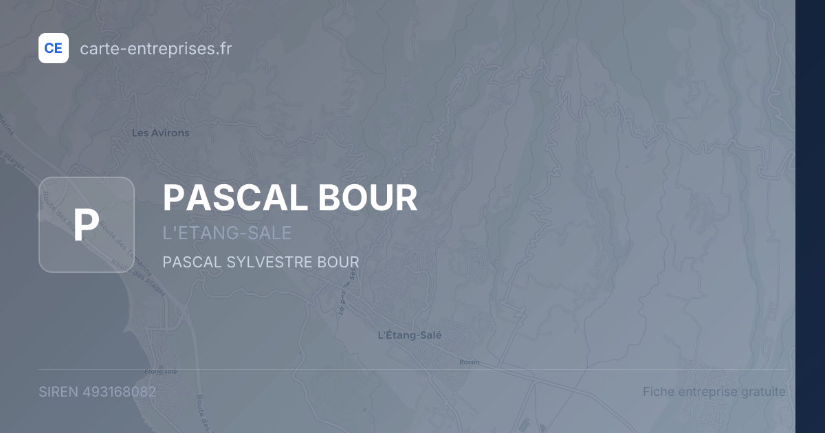 PASCAL BOUR — 493168082 — fiche entreprise