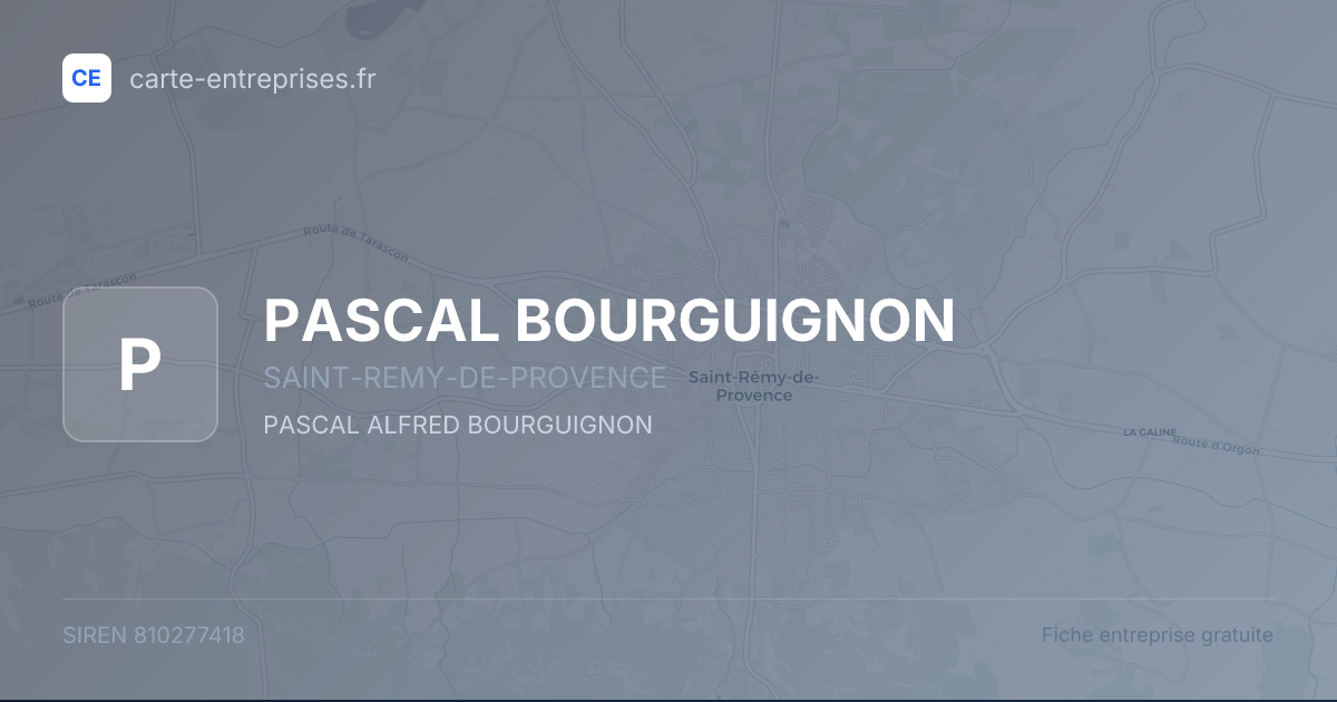 PASCAL BOURGUIGNON — 810277418 — fiche entreprise
