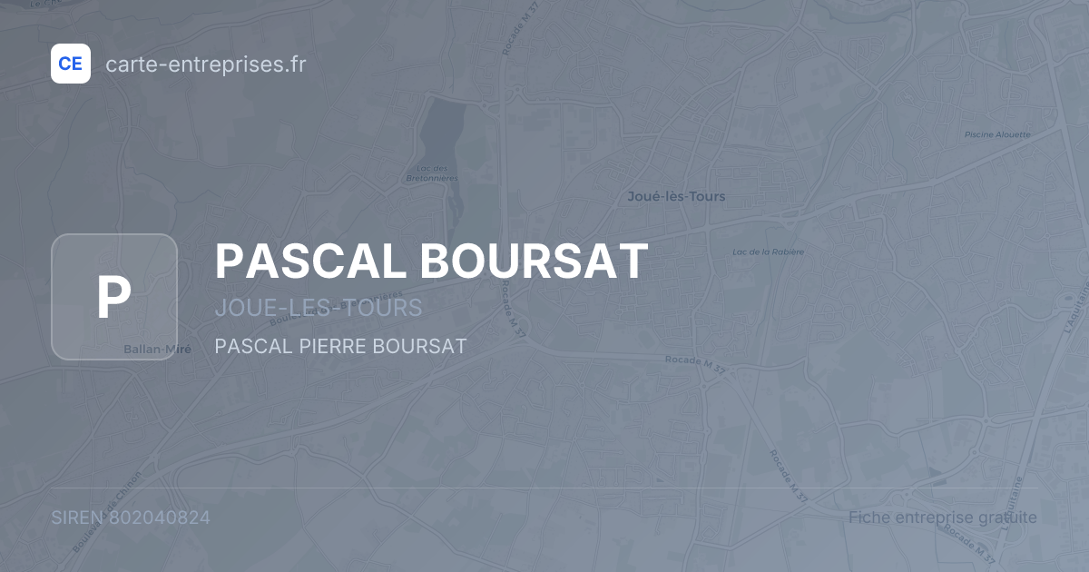 PASCAL BOURSAT — 802040824 — fiche entreprise