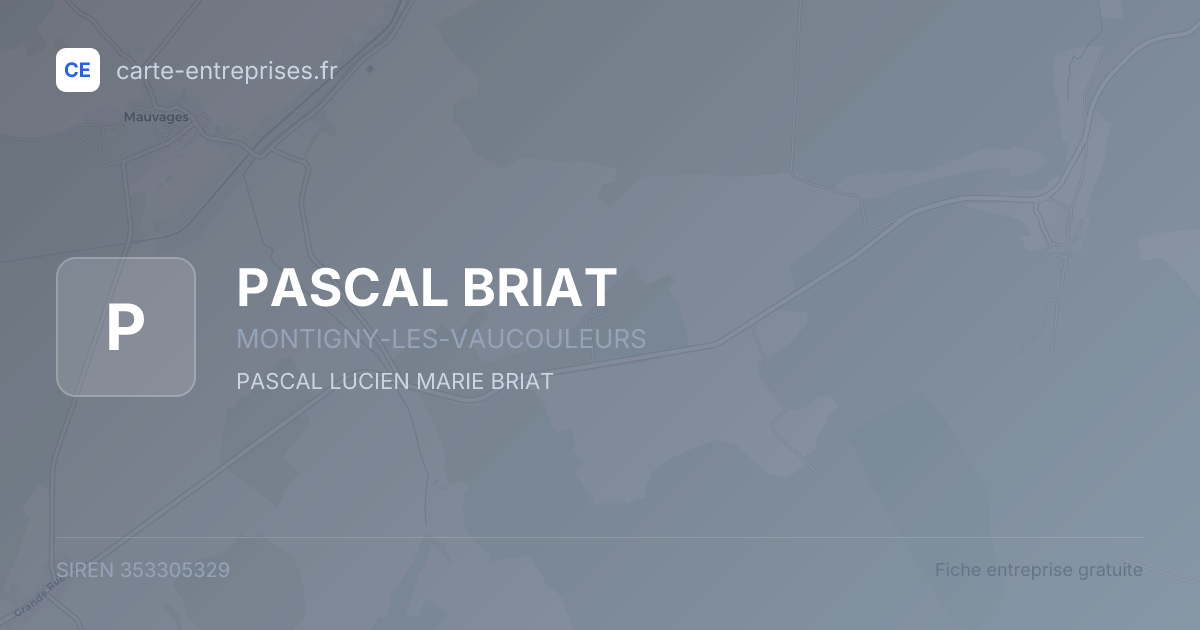 PASCAL BRIAT — 353305329 — fiche entreprise