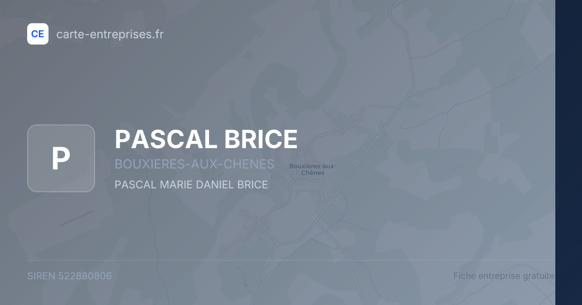 PASCAL BRICE — 522880806 — fiche entreprise
