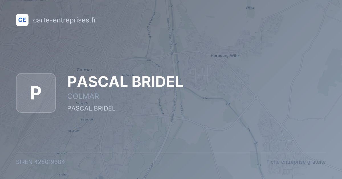 PASCAL BRIDEL — 428019384 — fiche entreprise