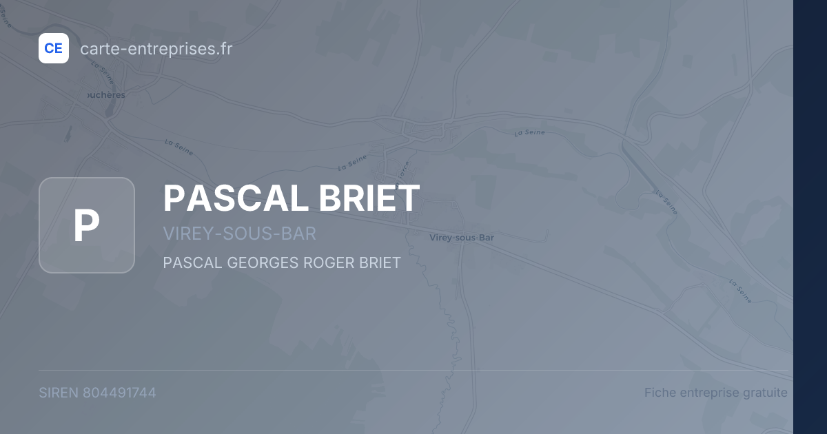 PASCAL BRIET — 804491744 — fiche entreprise