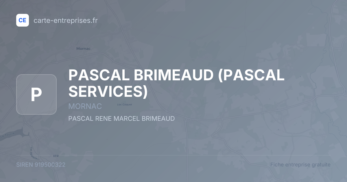 PASCAL BRIMEAUD (PASCAL SERVICES) — 919500322 — fiche entreprise