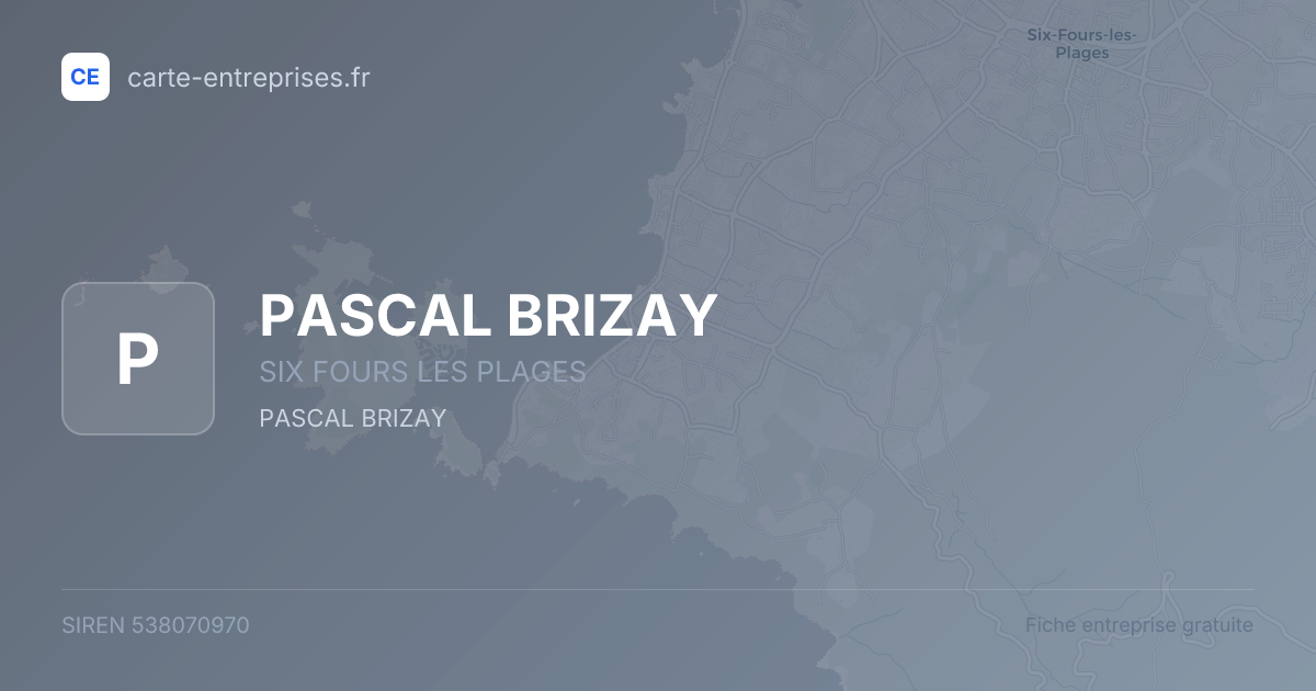 PASCAL BRIZAY — 538070970 — fiche entreprise