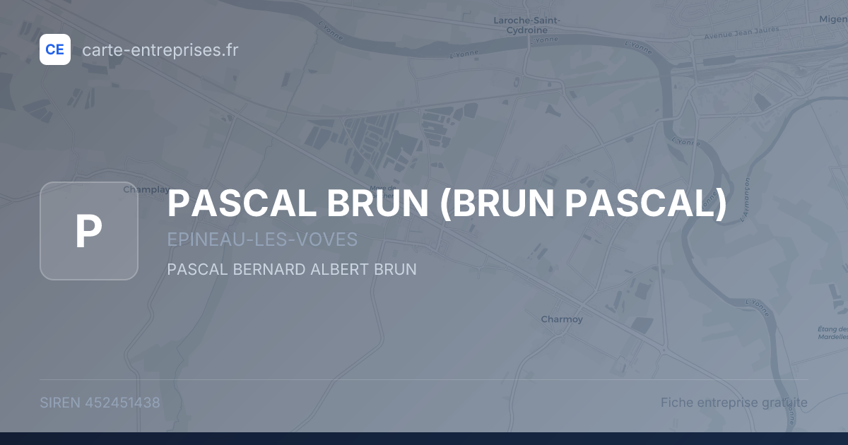 PASCAL BRUN (BRUN PASCAL) — 452451438 — fiche entreprise