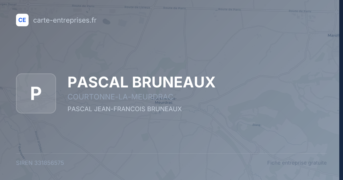 PASCAL BRUNEAUX — 331856575 — fiche entreprise