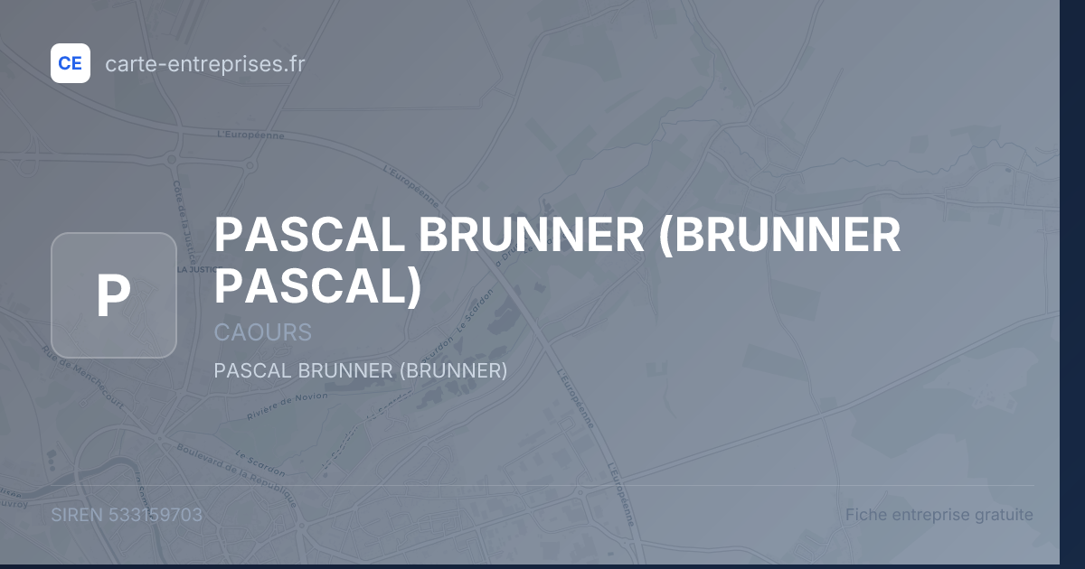 PASCAL BRUNNER (BRUNNER PASCAL) — 533159703 — fiche entreprise