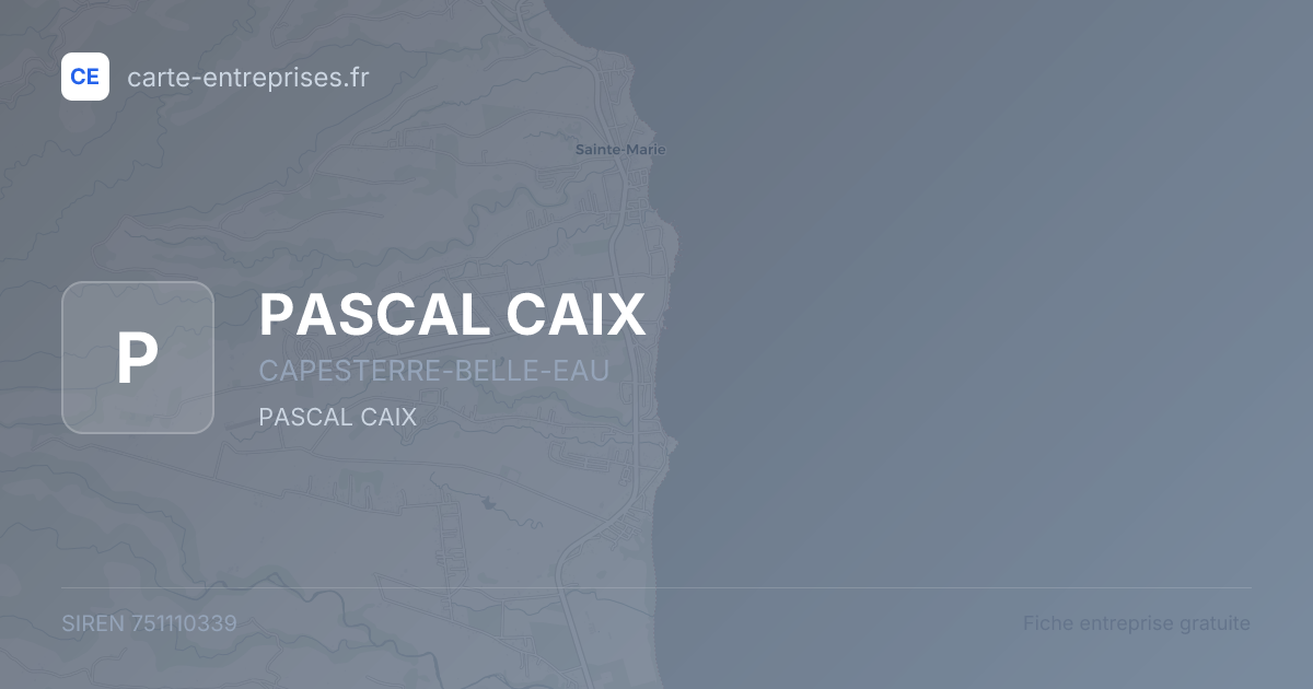 PASCAL CAIX — 751110339 — fiche entreprise