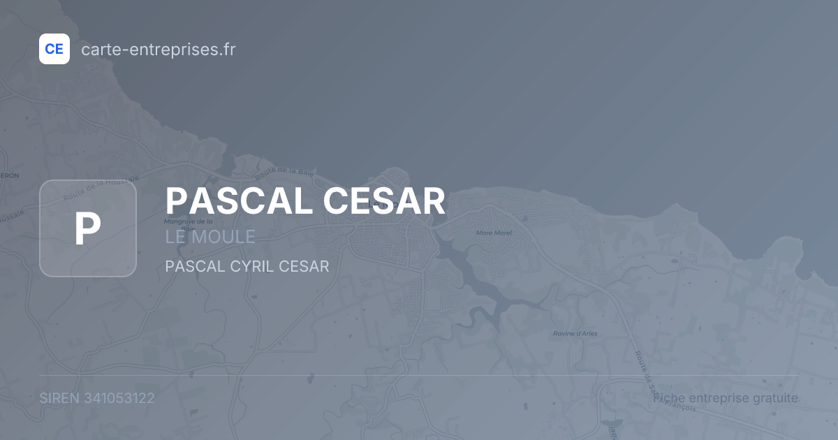 PASCAL CESAR — 341053122 — fiche entreprise