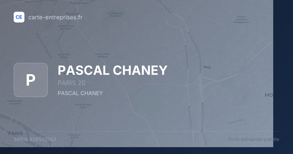 PASCAL CHANEY — 838503563 — fiche entreprise