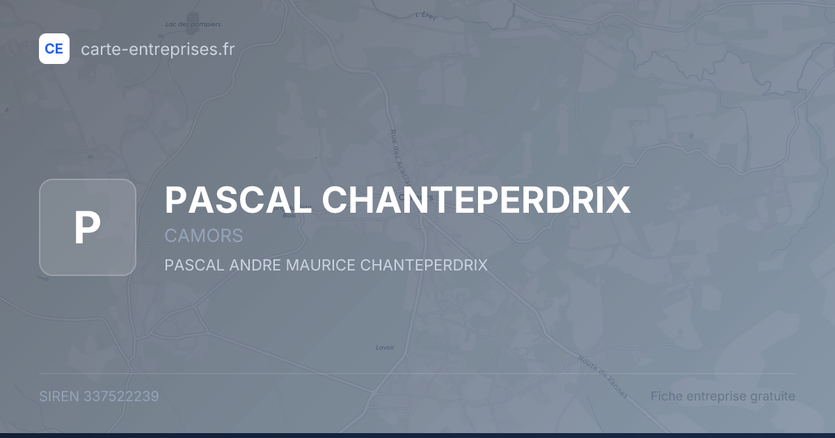 PASCAL CHANTEPERDRIX — 337522239 — fiche entreprise