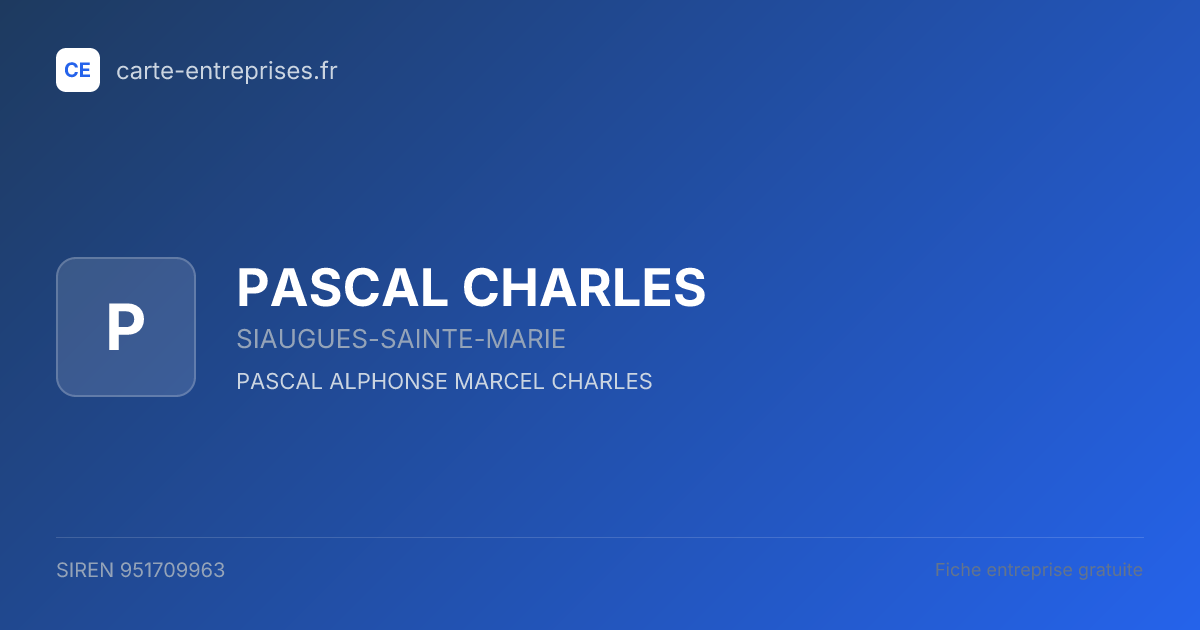 PASCAL CHARLES — 951709963 — fiche entreprise