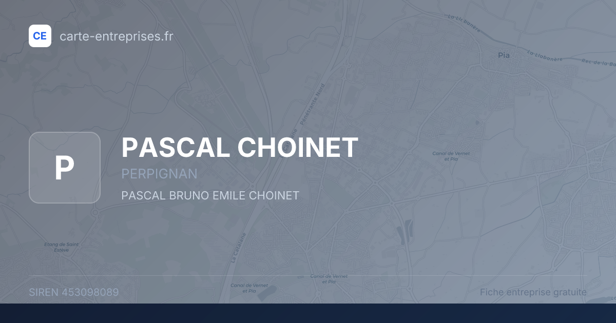 PASCAL CHOINET — 453098089 — fiche entreprise