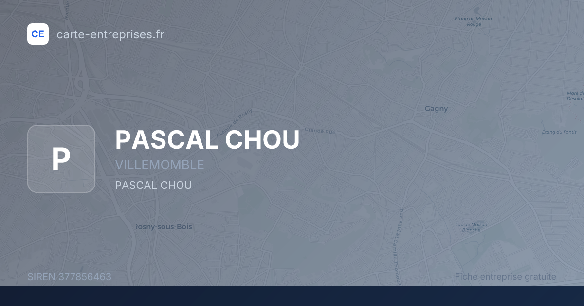 PASCAL CHOU — 377856463 — fiche entreprise