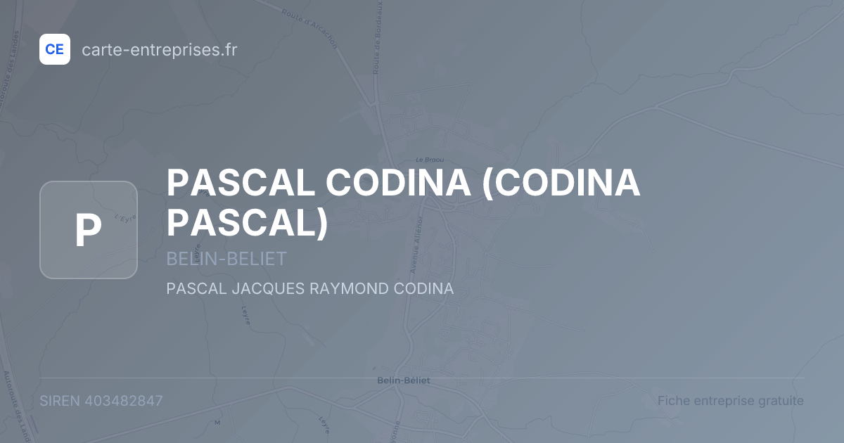 PASCAL CODINA (CODINA PASCAL) — 403482847 — fiche entreprise