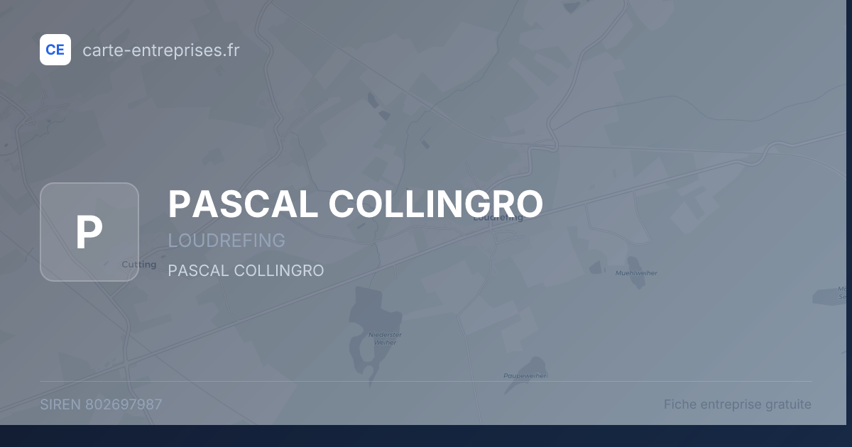 PASCAL COLLINGRO — 802697987 — fiche entreprise