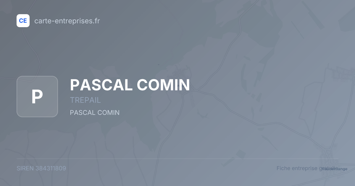 PASCAL COMIN — 384311809 — fiche entreprise