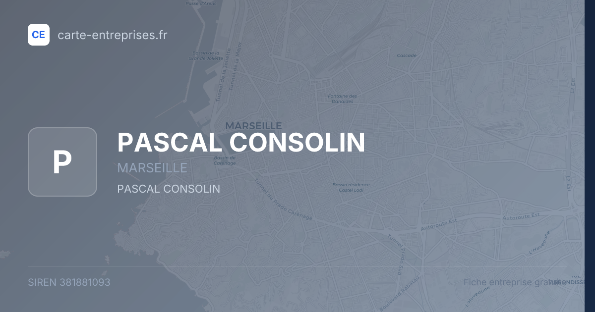 PASCAL CONSOLIN — 381881093 — fiche entreprise