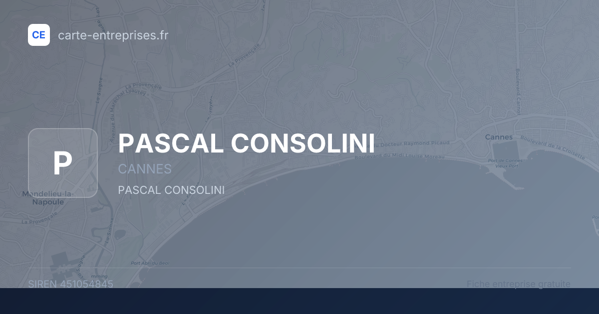 PASCAL CONSOLINI — 451054845 — fiche entreprise
