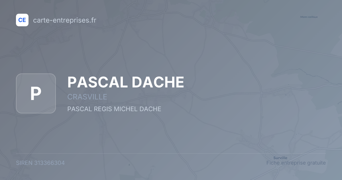 PASCAL DACHE — 313366304 — fiche entreprise