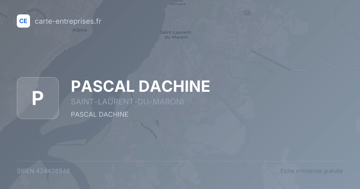 PASCAL DACHINE — 424408946 — fiche entreprise
